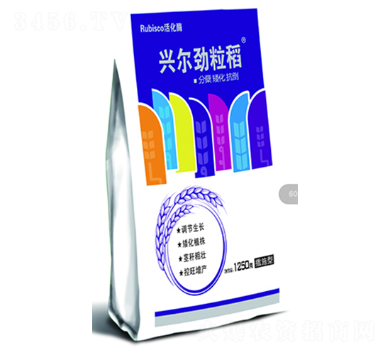 �d��������-�d���r�I(y��)