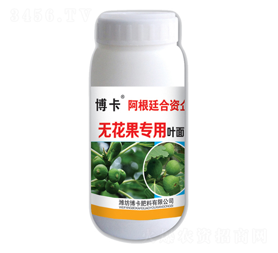 �o���������~���-����