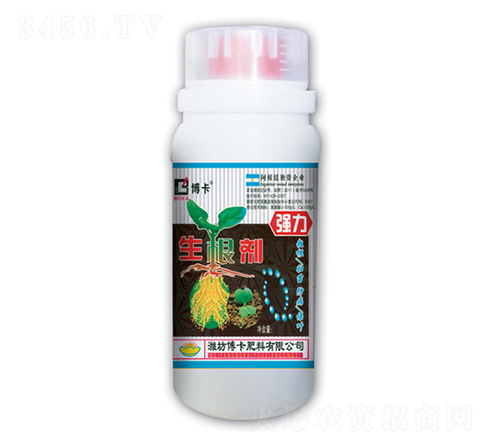 ����������-����