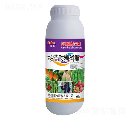 ������������-����