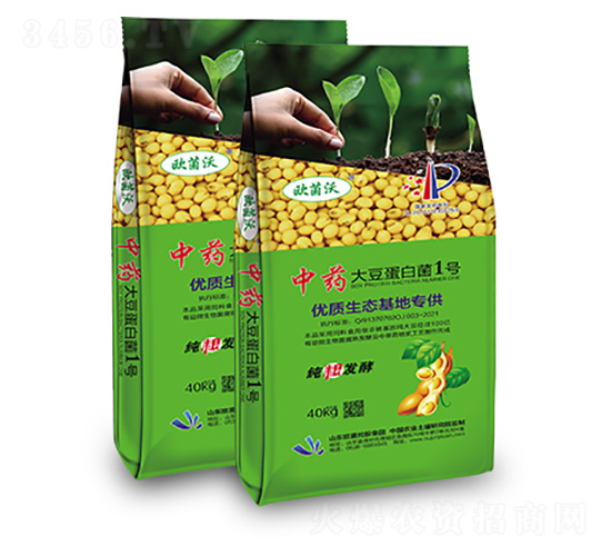 ��ˎ���󶹵��׾�1̖-�W�����F