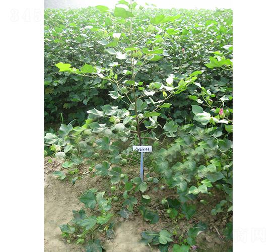 ������28-�޻��N��-�y�d�N�I