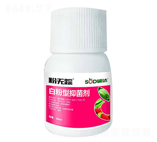 白粉型抑菌劑-粉無蹤-碩達(dá)