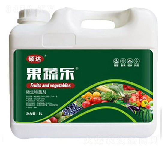 ���ߘ�-�T�_