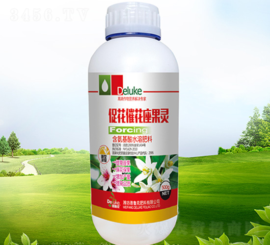 �ٻ��߻������`-������