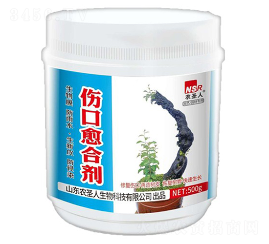 �������τ�-�rʥ��