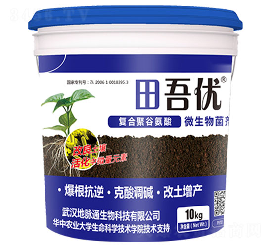 �ͺϾ۹Ȱ���-���პ-���}ͨ����