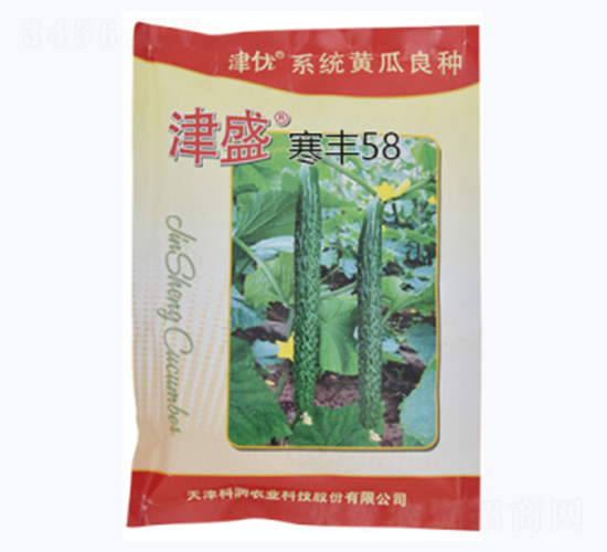 津盛寒豐58-黃瓜種子-科潤種業
