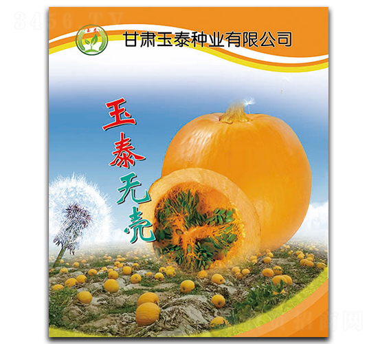 玉泰無殼-無殼葫蘆種子-玉泰種業