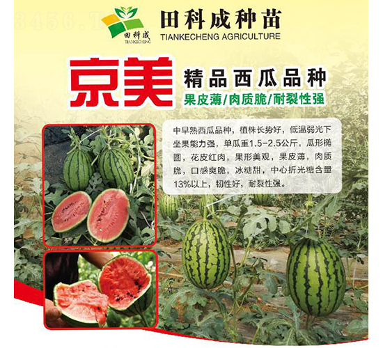 ����-���ϷN��-��Ƴ�