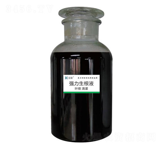 ����������-�h�����B