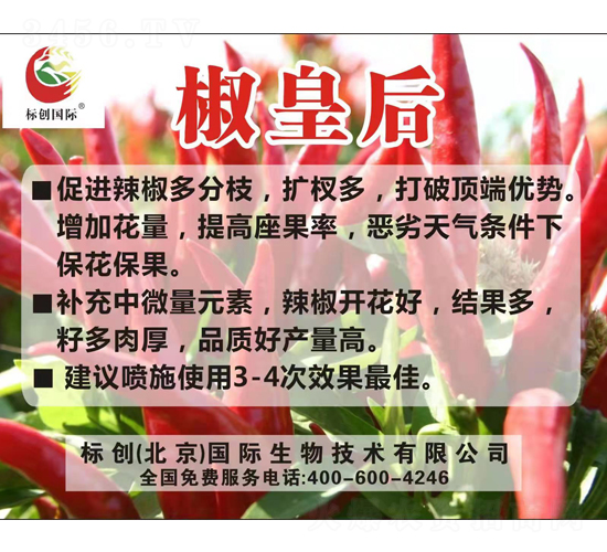 �~���-���ʺ�-�˄����H