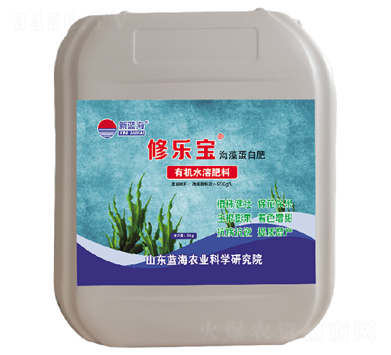 �ޘ������嵰�׷�-�{��