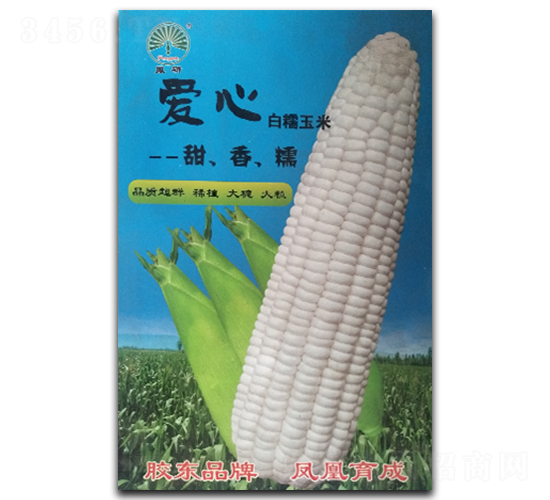 ����-Ŵ���׷N��-�P�˷N�I