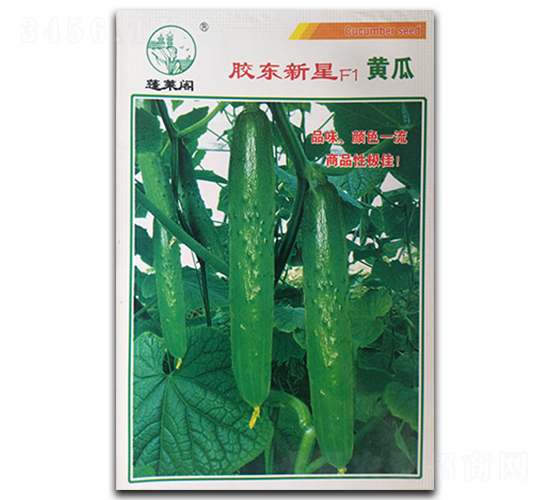 �z�|����F1-�S�ϷN��-�P�˷N�I