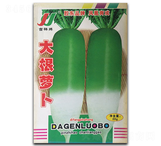 ����}��-�}���N��-�P�˷N�I