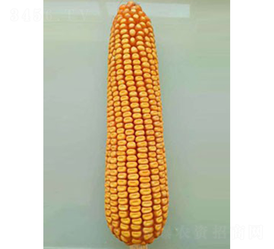 ���18-���׷N��-��̷N�I