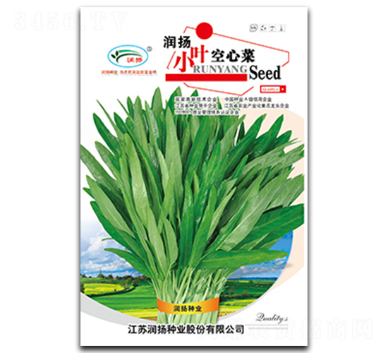 潤揚小葉空心菜-空心菜種子-潤揚種業