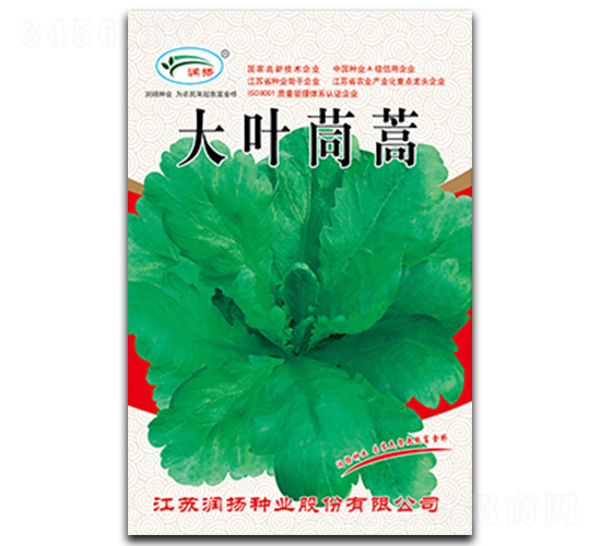 大葉茼蒿-茼蒿種子-潤揚種業