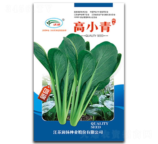 高小青-青菜種子-潤揚種業