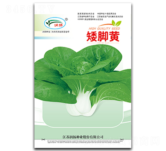 矮腳黃-青菜種子-潤揚種業
