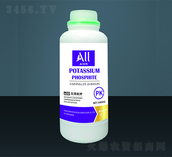 �������-�۠����B