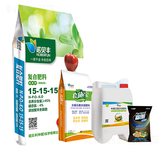 �ײ�A-�Zؐ�S