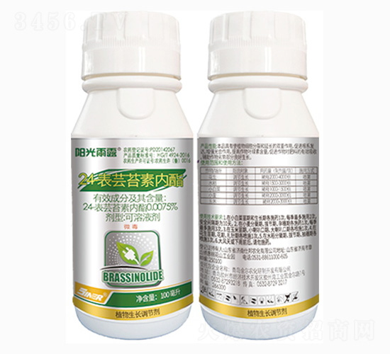 24-���|̦�؃�(n��i)֬-ꖹ���¶-���r(n��ng)��