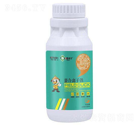 �����x���F�����a(b��)�F��-��СѾ-�_������