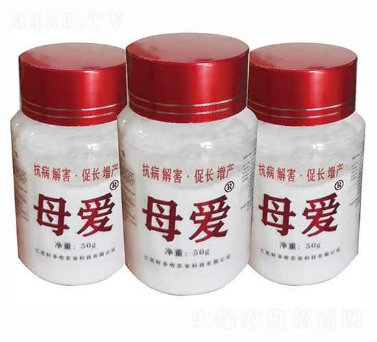 ֲ�����L(zh��ng)�I(y��ng)�B(y��ng)���M(j��n)��-ĸ��-�ö����r(n��ng)�I(y��)