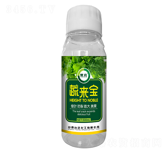 �߁팚-ِ��-�_�_�ʘI