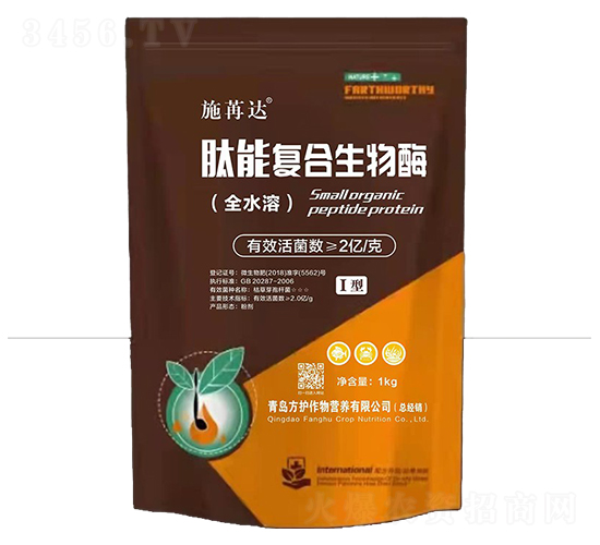 ʩ���_���܏ͺ�����ø-���o