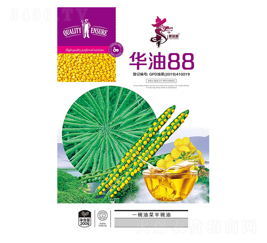 �A��88-�Ͳ˷N��-�Aһ�N�I