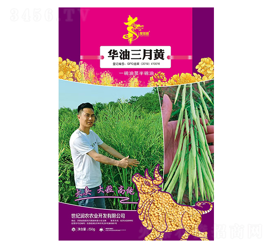 �A�������S-�Ͳ˷N��-�Aһ�N�I