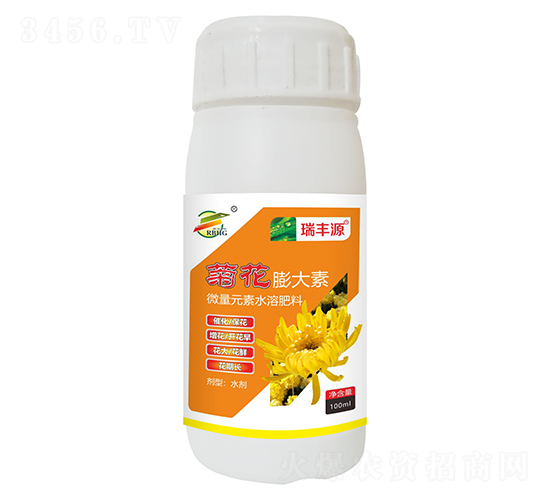 �ջ������-����