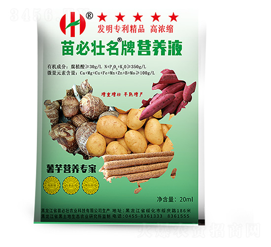 �ߝ�s����I�B����-��؉�