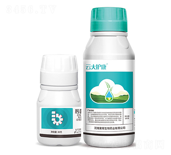 뿾���������+�ƴ��o��-�ێ�