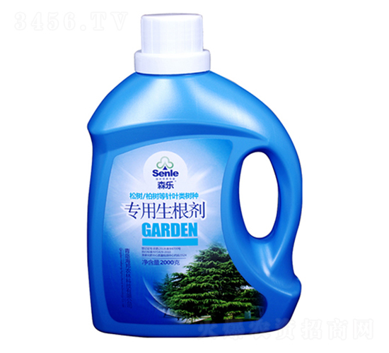 �ɰ،���������-ɭ��-�����r��