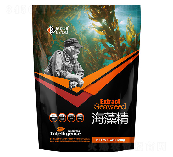 ���徫-ؐ����-����v�x