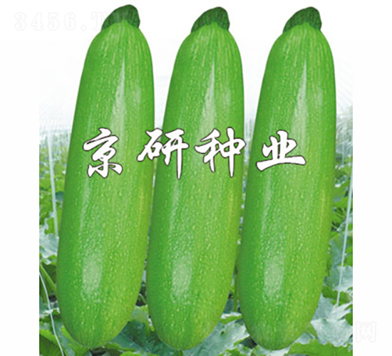 ����37-�����J�N��-���зN�I