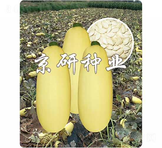 �������S1̖(h��o)-�����J�N��-���зN�I(y��)