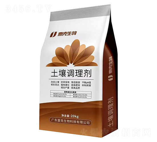 �����{�턩-Ҽ������