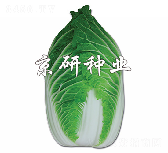 �����G-�ײ˷N��-���зN�I