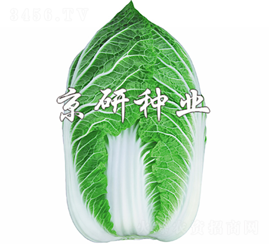 �����S2̖-�ײ˷N��-���зN�I