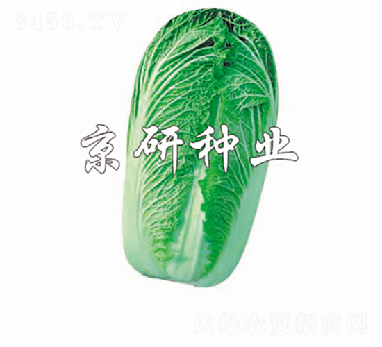 CR������3̖-�ײ˷N��-���зN�I