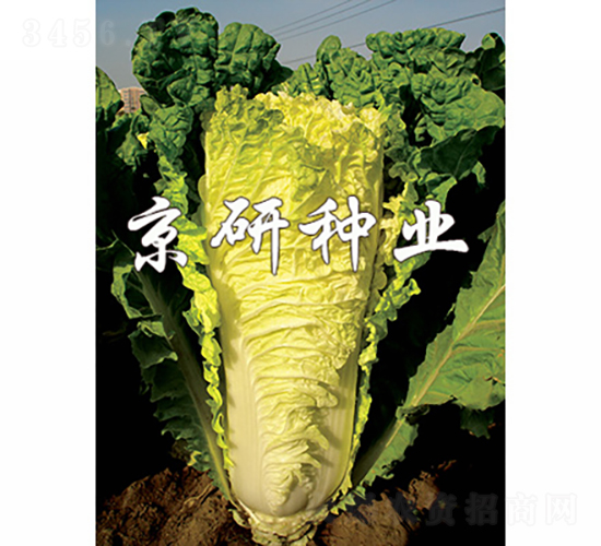 ������56̖-�ײ˷N��-���зN�I