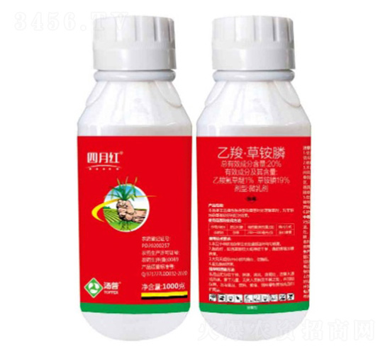 20%���ȡ����@�΢�鄩-���¼t-���՘�(l��)