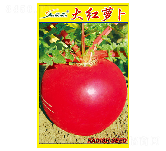 ��t�}��-�}���N��-�S�A�N�I