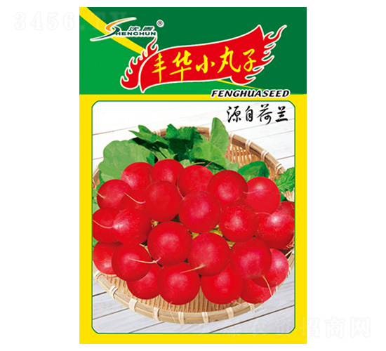 �S�AС����-�}���N��-�S�A�N�I