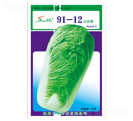 91-12��ײ�-�ײ˷N��-�S�A�N�I